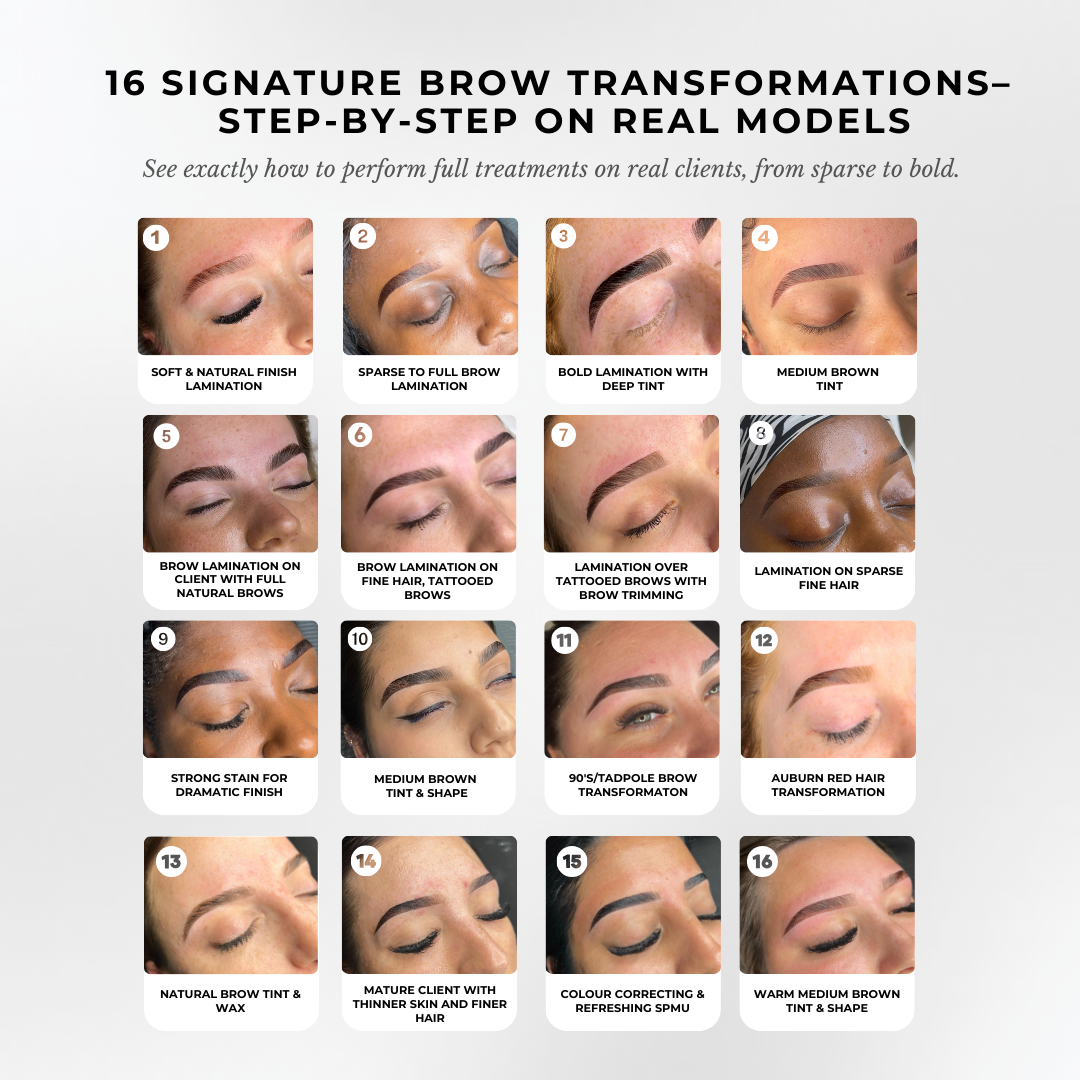 ALL-IN-ONE Bundle Brow Artist Course