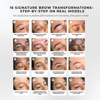 ALL-IN-ONE Bundle Brow Artist Course